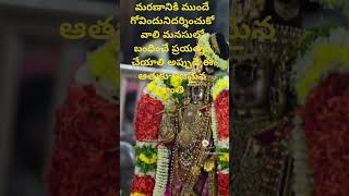 viralvideoannamayasongSP BaluchitraDevotional గోవిందా గోవిందా [upl. by Cornall677]