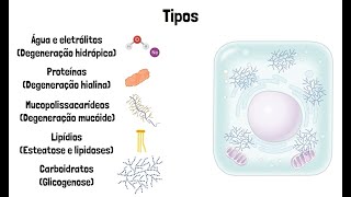 Degenerações Celulares [upl. by Karry56]