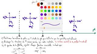 Tutoriel Diagramme Ionisation Acide Aminé [upl. by Sofko]