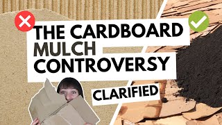 How to use cardboard in your landscaping 🪴 Landscape designer explains cardboard mulch [upl. by Petromilli]