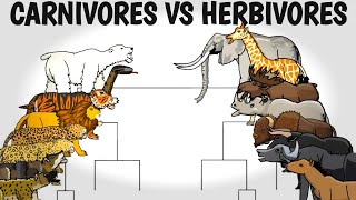 CARNIVORES VS HERBIVORES TOURNAMENT  ANIMATION [upl. by Pittman]