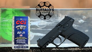 CCI Uppercut 22lr Defense JHP tested with the KELTEC P17 [upl. by Boehike]