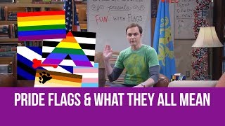 Pride Flags and What They All Mean [upl. by Ardnayek]