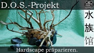 Hardscape präparieren  DOSProjekt [upl. by Frants]