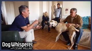 Can Cesar Calm This Aggressive Rescue Dog  S4 Ep 11  Dog Whisperer With Cesar Millan [upl. by Nylatsyrc]