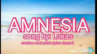 AMNESIA  Lukas lyric [upl. by Marcelo]