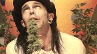 Muck Sticky  High Times Official Music Video [upl. by Meredithe]