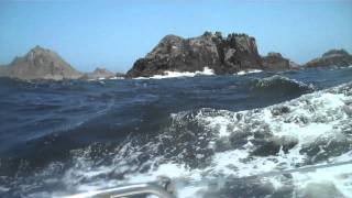 Singlehanded sailing Farallones Race 2011 [upl. by Florenza427]