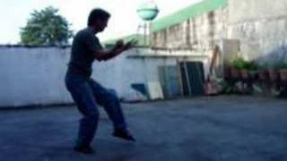 Choy Lee Fut  Hua Quan  Flower Fist Form [upl. by Lekim]