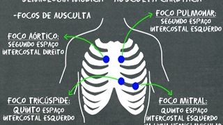 Semiologia médica Ausculta cardíaca [upl. by Snashall154]