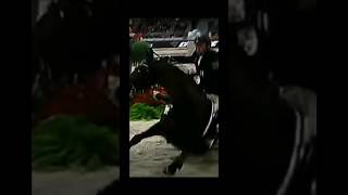 RIP Hickstead🕊legendshortsfypviralvideo edithorsedeathsad [upl. by Demakis]