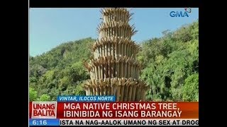 UB Mga native Christmas tree ibinibida ng isang barangay [upl. by Garges843]