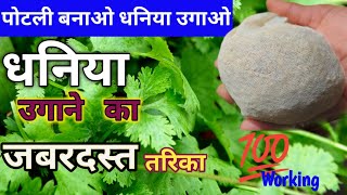 3 दिन में धनिया उगाने का सबसे आसान तरीका 💯  Dhaniya Ugane Ka Sahi Tareeka  How To Grow Coriander [upl. by Ricker38]