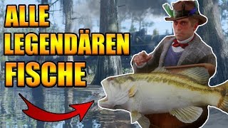 Alle legendären Fische Red Dead Redemption 2 deutsch [upl. by Torray]