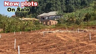 Cheap New Plots On Sale Suitable For Rentals [upl. by Longley]