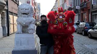 Leeuwendansparade Chinees Nieuwjaar  Antwerpen [upl. by Ajan]