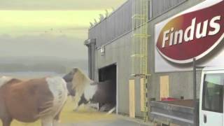 Findus Pony Advert [upl. by Shir]