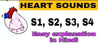 Heart sounds  Explained in hindi  S1 S2 S3 S4  Difference between different heart sounds [upl. by Nahtanoy766]