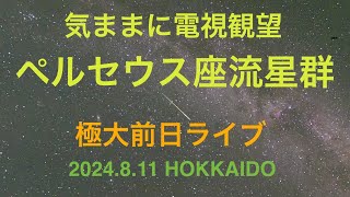 ペルセウス座流星群 極大前日 ライブ配信 [upl. by Ellon52]