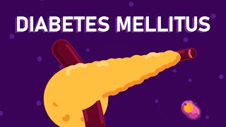 What is Diabetes Mellitus  Understanding Diabetes  Diabetes Type 1 and Type 2 [upl. by Estel228]