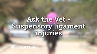 Ask the Vet  Suspensory ligament injuries [upl. by Rohn]