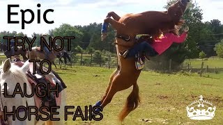 Try not to laugh  horse fails [upl. by Nallid]