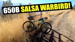 650B SALSA WARBIRD [upl. by Ennairej]