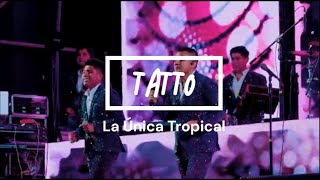 Tattoo  La Única Tropica VIDEO letra [upl. by Acino685]