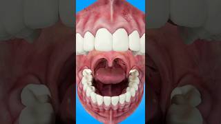 How Tonsil Stones Are Formed short tonsilstones  creativelearning3d [upl. by Yenots]