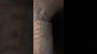 UNDERGROUND BUNKERS OF MUGHALS EMPIRE shorts shortsvideo shortsyoutube [upl. by Brouwer]