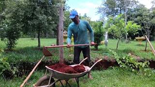 Fazendo um estaleiro para meus pés de Uvas [upl. by Siegel]