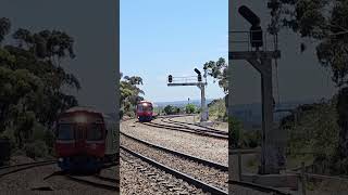 3100 railcars on a Belair service at Sleeps Hill shorts [upl. by Concettina]