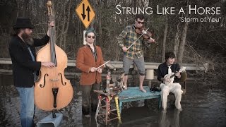 Strung Like a Horse quotStorm of Youquot  Tiny Desk [upl. by Otreblide696]