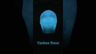 Yankee Rose  David Lee Roth [upl. by Orlanta]