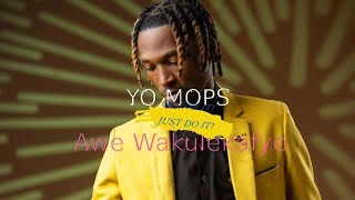 Yo Maps  Awe Wakulekafye Official Music Videoyomaps [upl. by Atikaj]