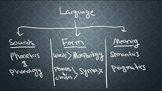 SEMANTICS1 What is Semantics [upl. by Bueschel537]