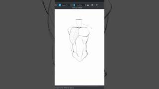 Torso Folding Understanding Side Protrusion in Anatomy  bodyartenthusiast shorts easyanatomy [upl. by Simone]