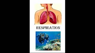 5 Chapter 5 hypoxia cyanosisdyspnea apnea periodic Caisson disease [upl. by Philippa142]