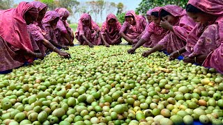 Mouth Watering Jujube Chutney amp Hodgepodge  Traditional Delicious Village Food  Boroi Achar [upl. by Fagaly125]