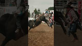 California Salinas Rodeo Highlight [upl. by Berners]