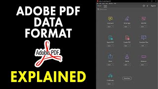 Adobe PDF Data Format Explained [upl. by Dalt321]