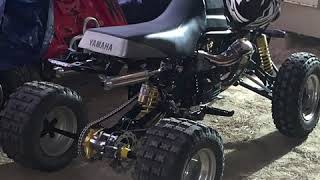 421 Cheetah Cub Yamaha Banshee [upl. by Noguchi187]