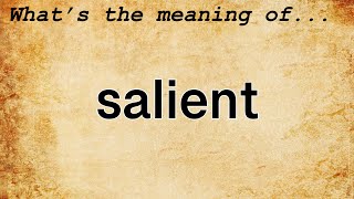 Salient Meaning  Definition of Salient [upl. by Ardnaed207]