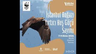 Actividad del censo de migración de aves rapaces del estrecho de Estambul [upl. by Siuqcram]