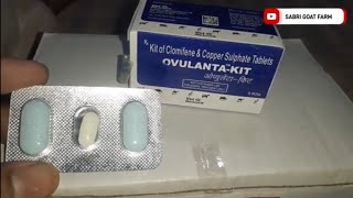 OVULANTAKIT by bet mankind Pharma heat generation formula for cow goat buffalo  SABRI GOAT FARM [upl. by Opalina]