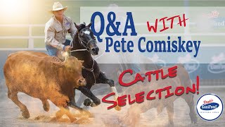 The Best Way To Select Cattle In Campdrafting With Pete Comiskey [upl. by Feilak53]