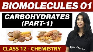 HALOALKANES AND HALOARENES in 141 Minutes  Chemistry Chapter 6  Full Chapter Revision Class 12th [upl. by Lohse]