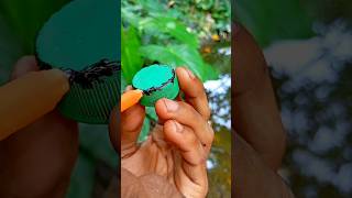 Pen ink on bottle cap 💈 camping bushcraft trap survival outdoors skills survivalbogura [upl. by Peppy]