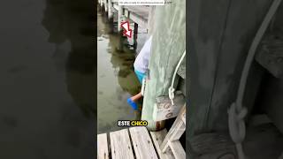 Tortuga Como Gusano Encontrada en el Agua 😳 [upl. by Namilus]