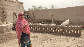 Aaj ghar mein new kitchen banaa liya village life shahina yaseen vlogs [upl. by Lacy]